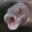 I B3N1 I