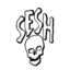 TeamSESH.