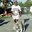 Weednspeed