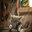 FailUseru