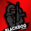 BlackDogG