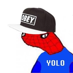 YolSpY