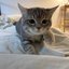 AJlA6Au (was deleted at: 2025-09-13T13:16:57.9072663Z)
