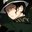 OnZ11_