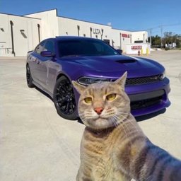 Biel o Sozinho#SOZIN