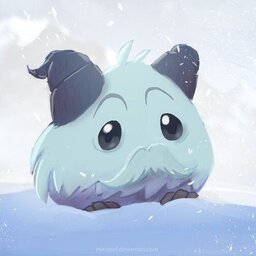 Saulozoka