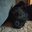 Tuca_