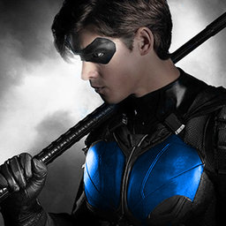 *NIghtwing*