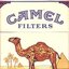 Only Cammel Users