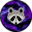 Cosmic Raccoons