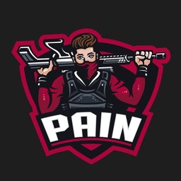 Pa1n3#5870