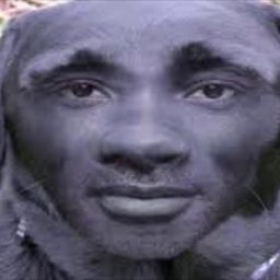 Nikozas
