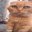 Whomskyz