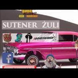 Sutener zuli#