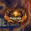 The Phoenix Team