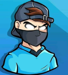 Ninja.pv