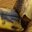 Banan¨