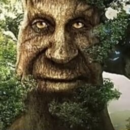 árvore mística BTT#4004