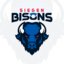 Siegen Bisons