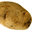 Paulibauli