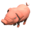 Hexanutie