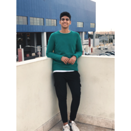 Mohammed Wael