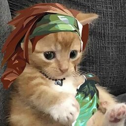 korean Lykia#cücük