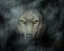 GreyWolf