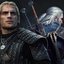 The Witchers
