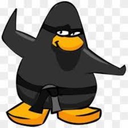 BlackNinja8#3231