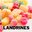 Landrines