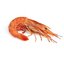 ShrimpAim Esport