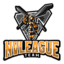 Nvleague