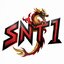 SNt1