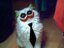 TEAM Coringados EC (was deleted at: 2025-02-24T21:50:24.2771489Z)