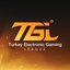 Turkey Gaming League (was deleted at: 2021-08-17T11:06:18.4190106Z)