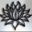Black _Lotus