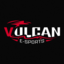 Vulcan Esports Pro