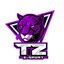 TZ-E-sport