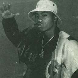 Dziga