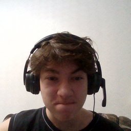 Dominator Zhenshin 2010