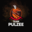 Team Pulzee