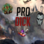 ProDick
