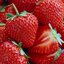 🔪🍓 Frutinhas Assassinas 🍓🔪 (was deleted at: 2024-01-18T03:30:06.7045794Z)
