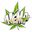 HempTeaM