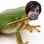 Solo Frog