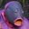 conHex