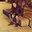 Damjan Lukic