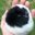 Skunkoti