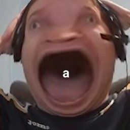 syainhll